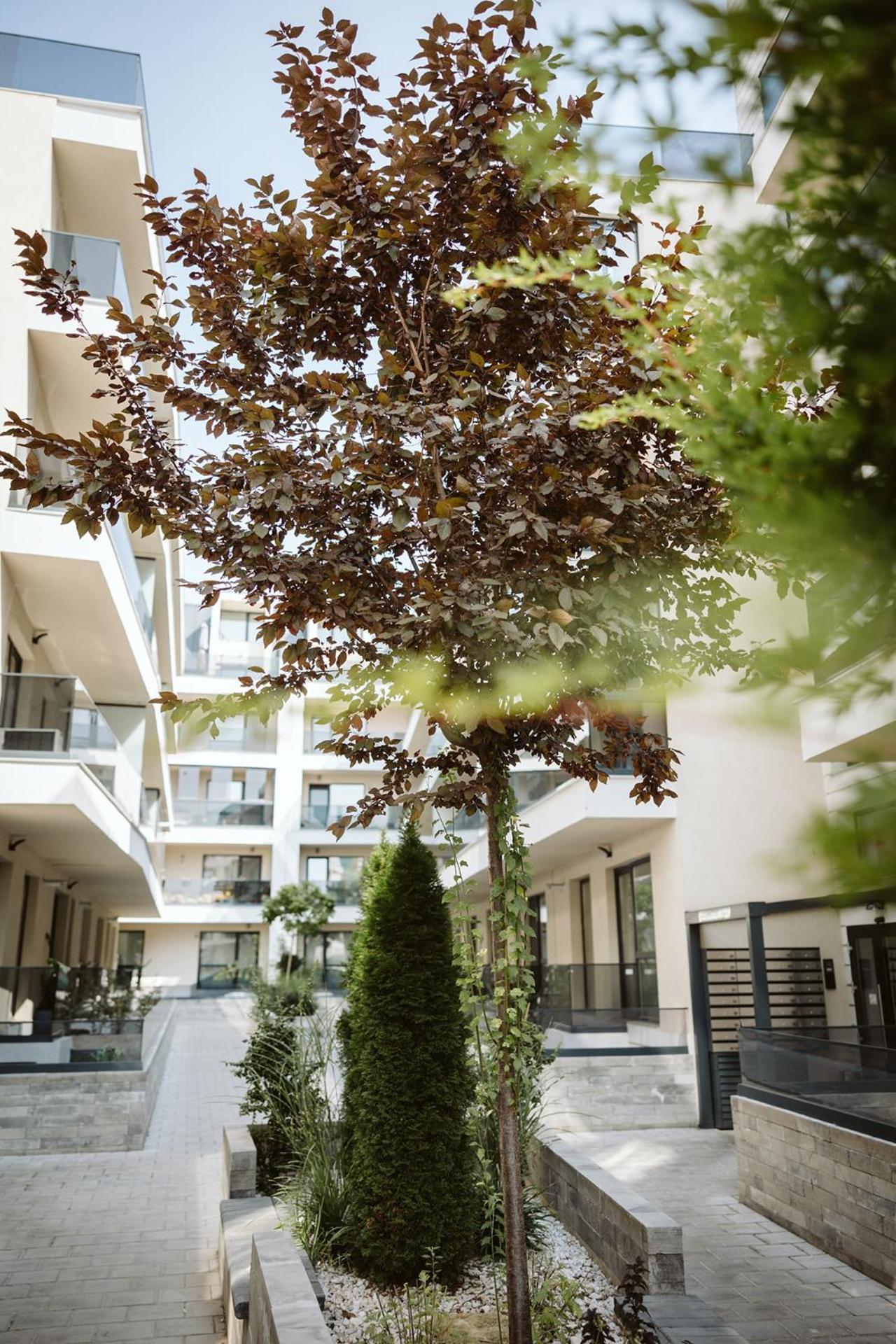 Dec Apartments Bükreş Dış mekan fotoğraf
